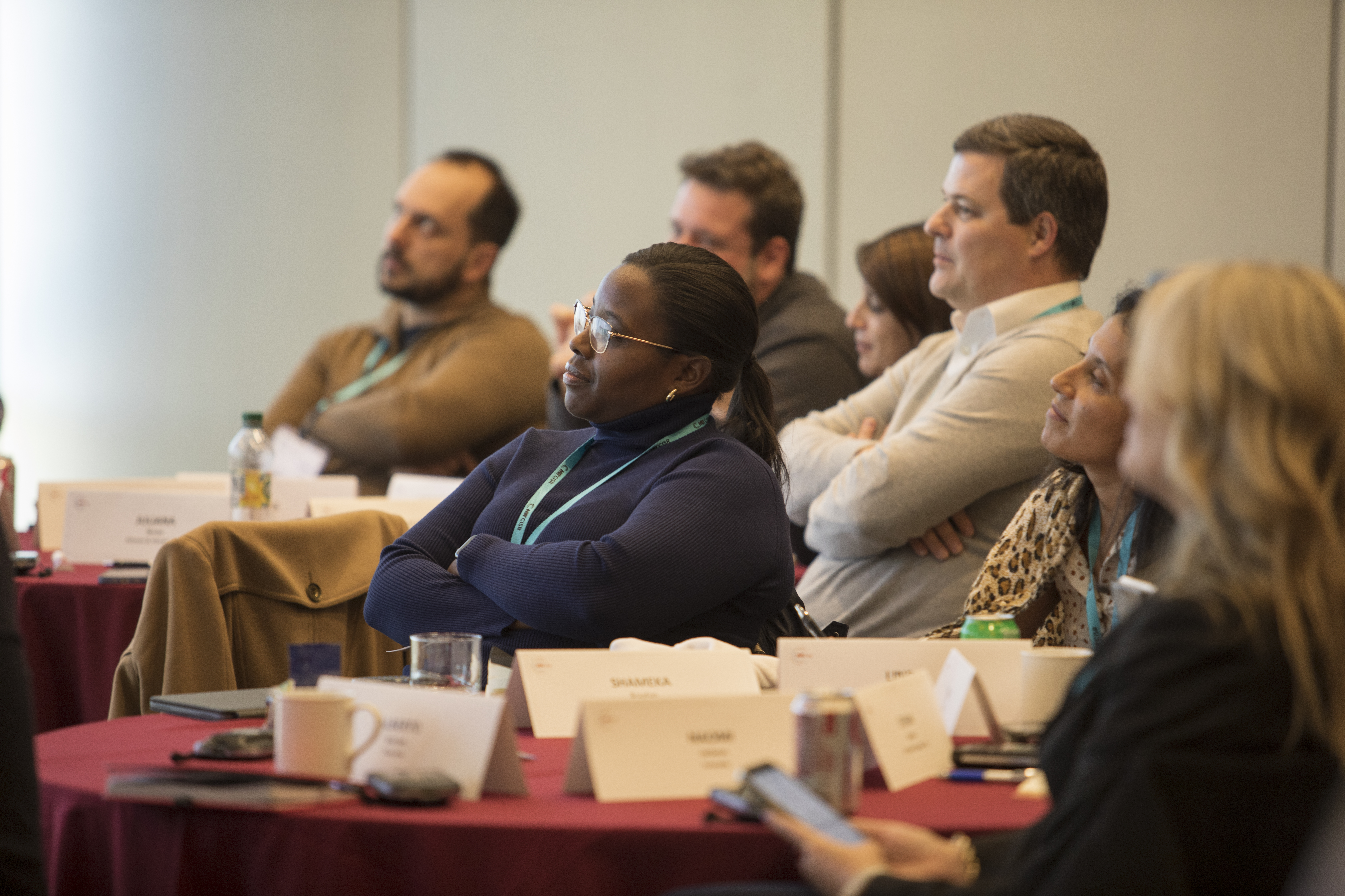 MIT CISR event participants during session