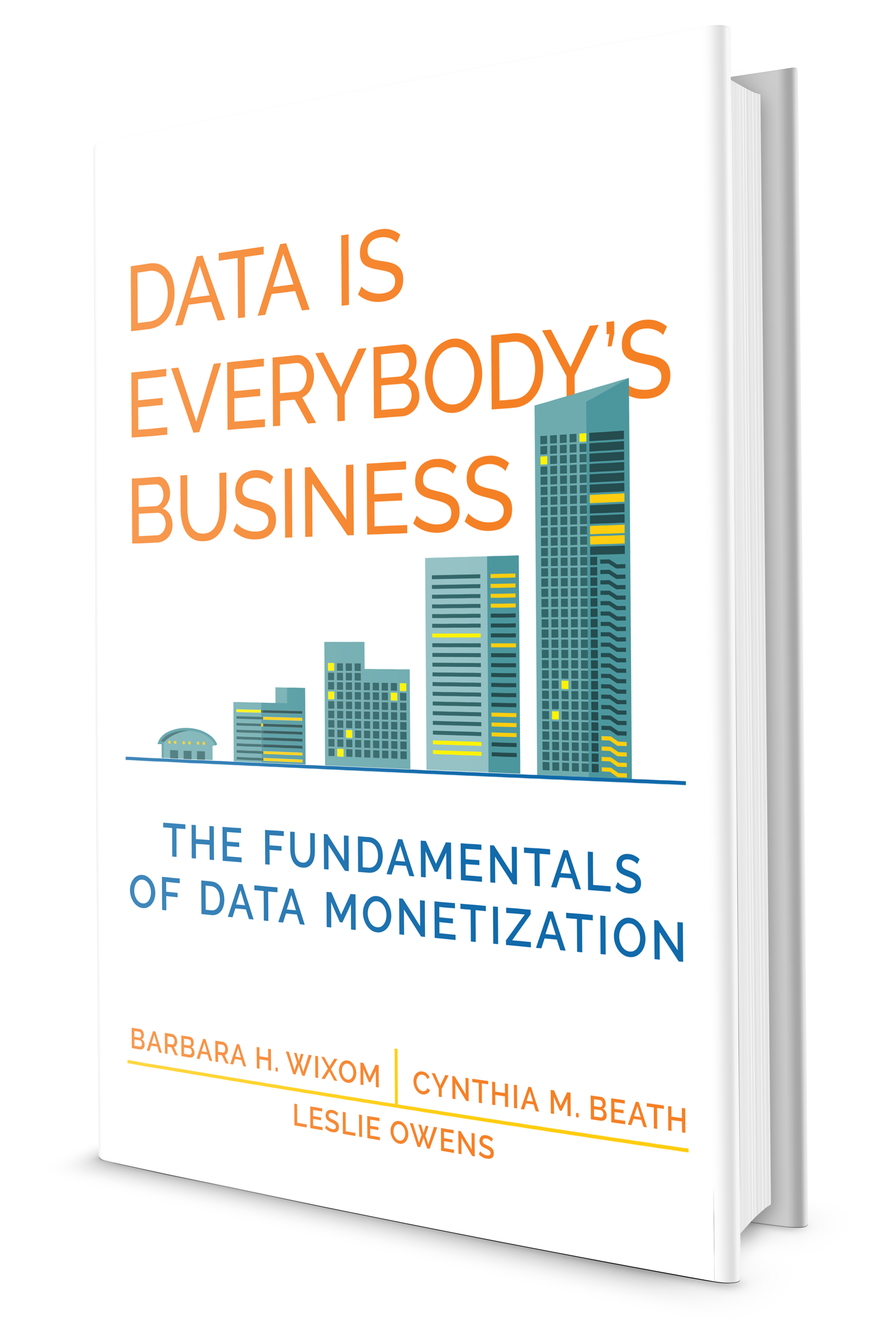 Data Is Everybody's Business 3-D cover